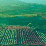 Encuentros en La Rioja